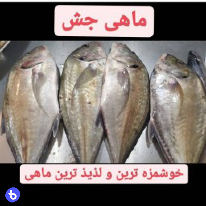 ماهی جش ۱ کیلو